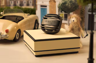 Our New Look Car Diffuser